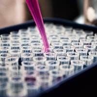 Lab & Diagnostics