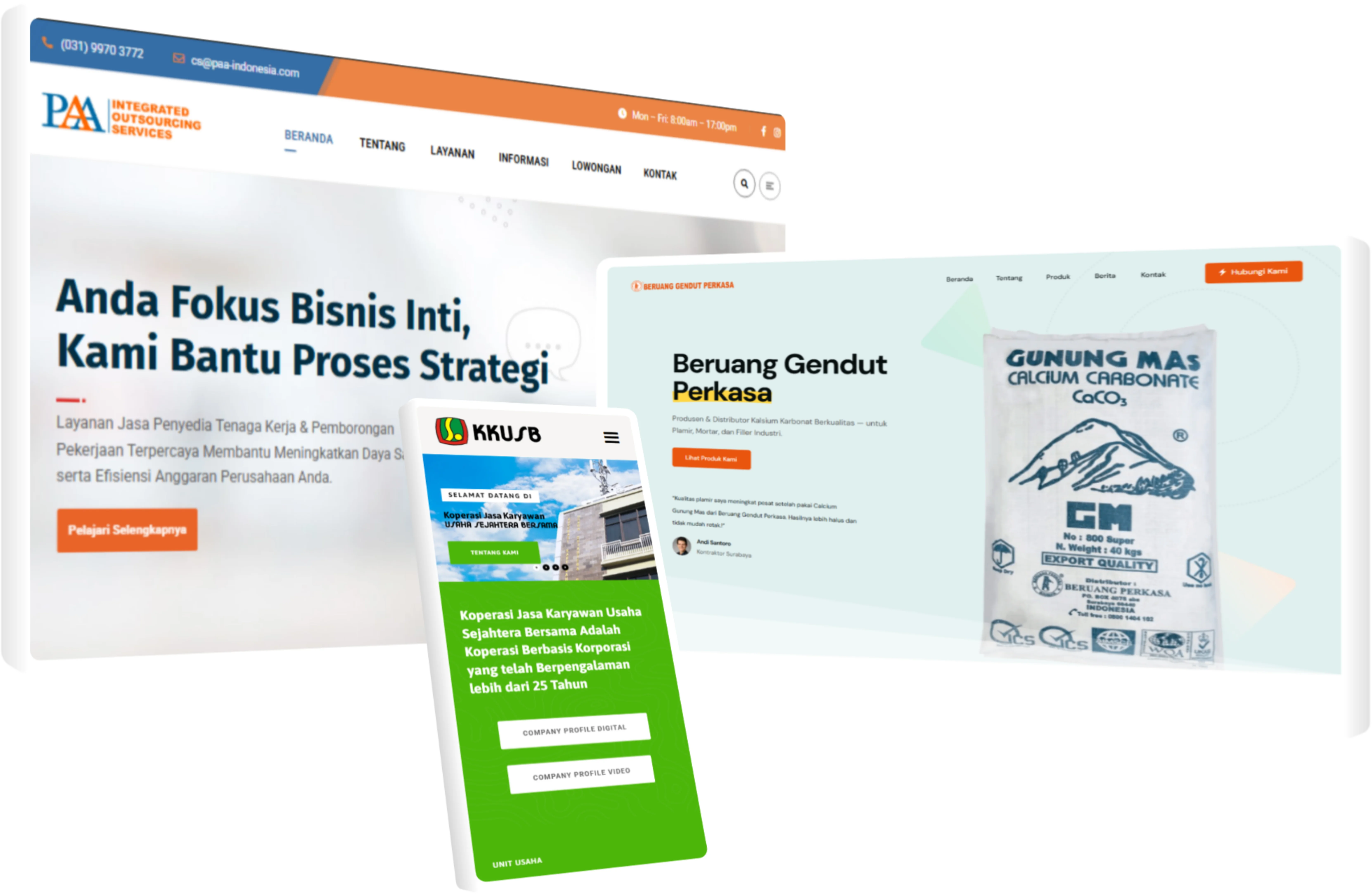 Website360 Interface